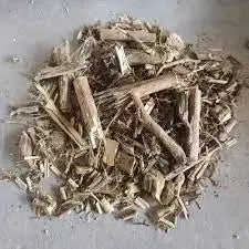 Brown Ulatkambal - Abroma augusta Product vendor