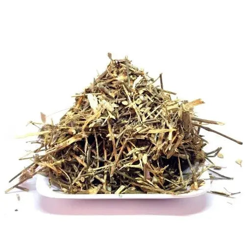 Apamarg Panchang - Latjira - Chirchita - Latjeera - Achyranthes Aspera ...