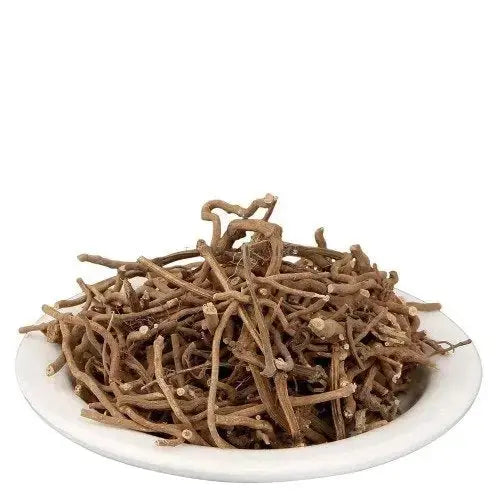 Chab - Chabya - Piper retrofractum | TheWholesalerCo