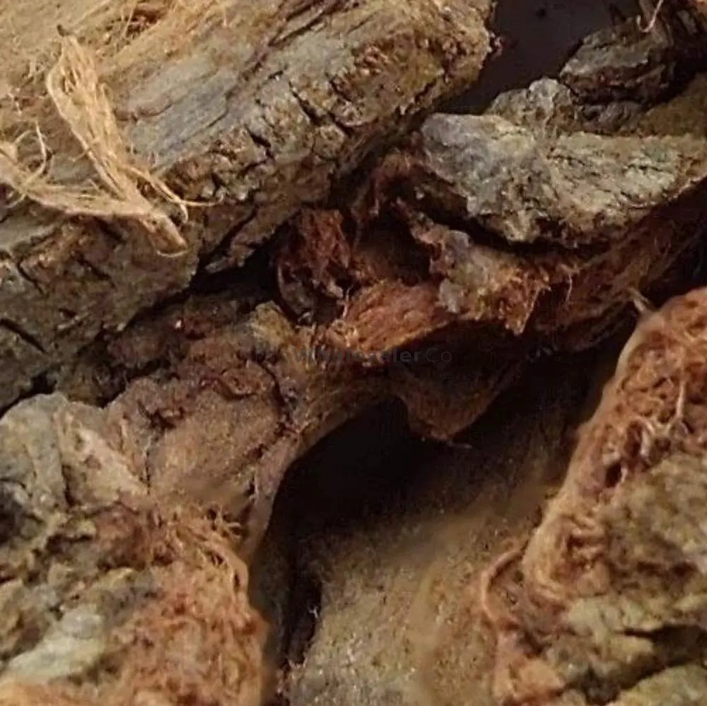 Kachnar Bark - Kachnaar Chaal - Kanchnar Chhal - Bauhinia variegata ...