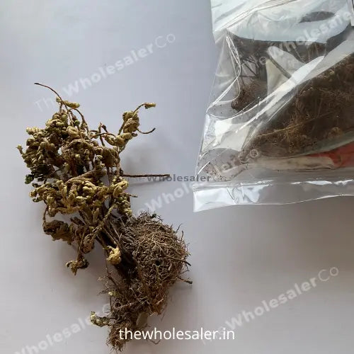 Laxman Booti - Sanjeevni - Sanjivni Booti - Pitta Kalu - Selaginella ...