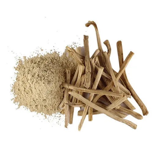 Shatavari Extract - Asparagus racemosus Product vendor
