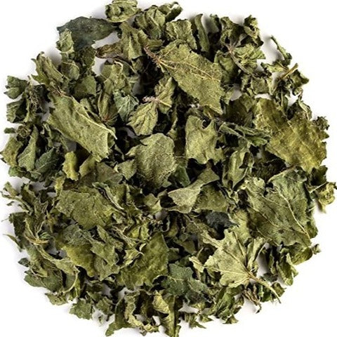 Dry Nettle leaf - Urtica dioica - Bichhua Pattee - Bichu Buti | TheWholesalerCo |